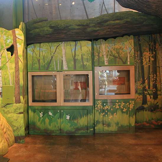 animal display boxes